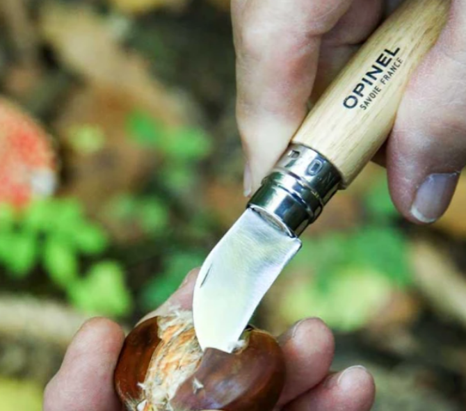 Main utilisant un couteau Opinel No 07 pour inciser une chataigne