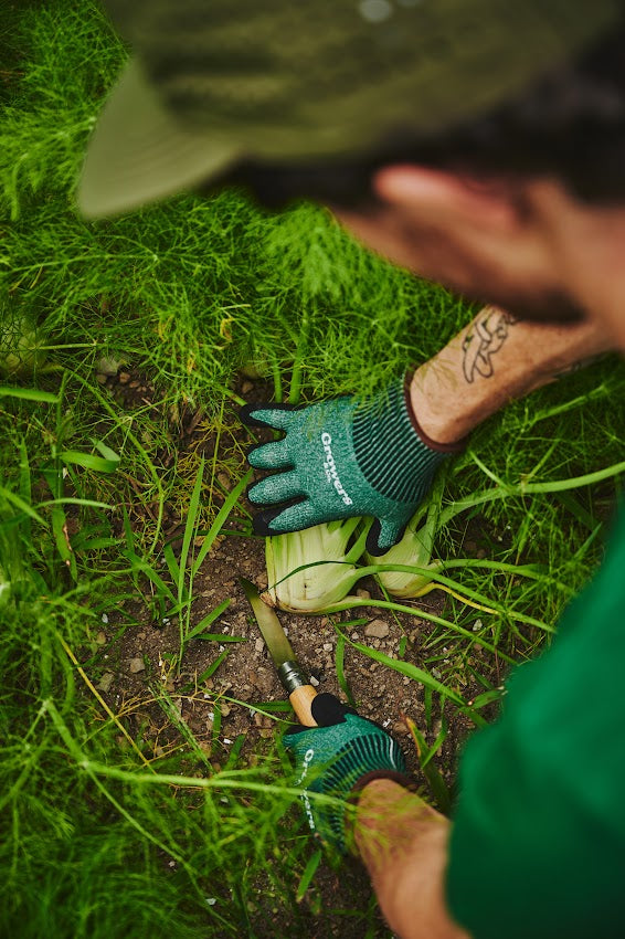 Gants et couteau de jardinage growers and co