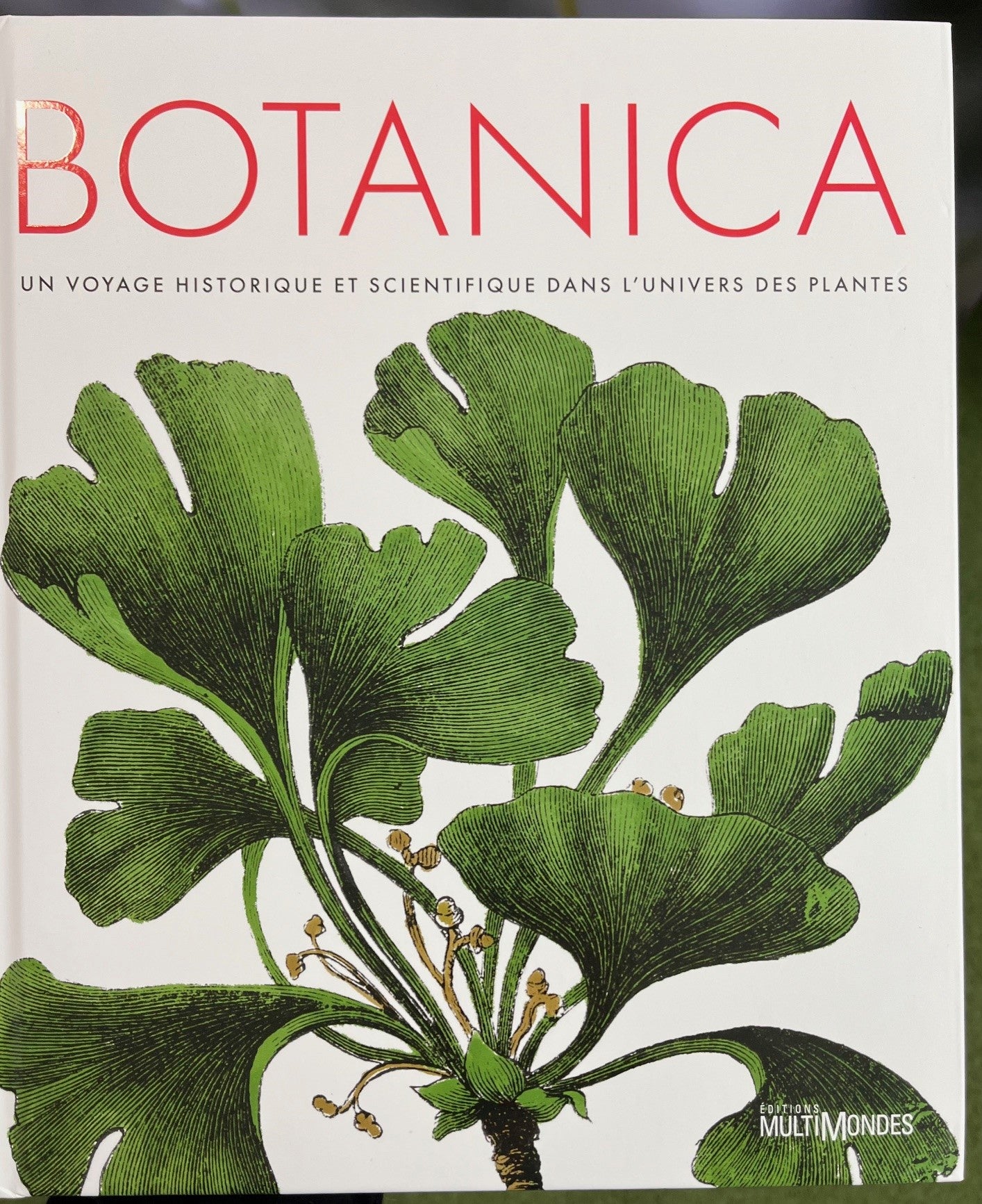 Botanica