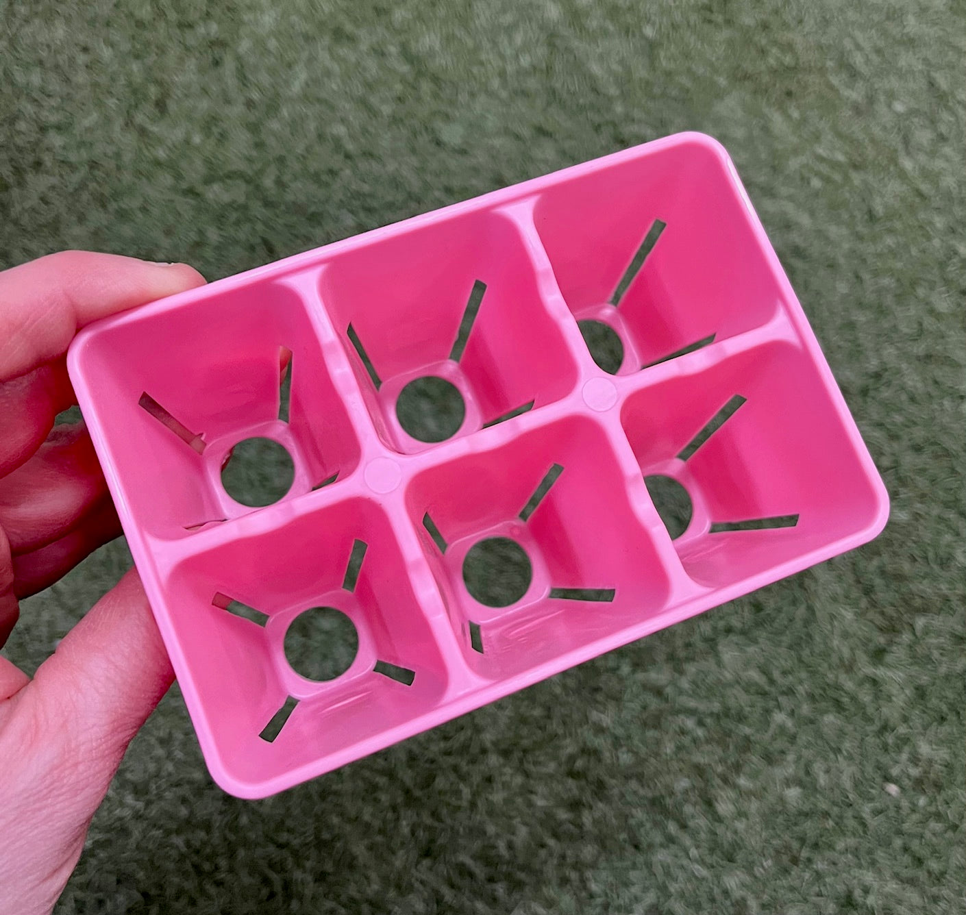 Caissette de semis six cellules de couleur