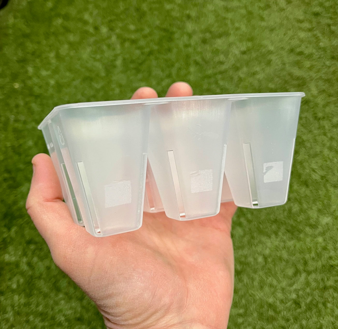 Caissette de semis six cellules transparente