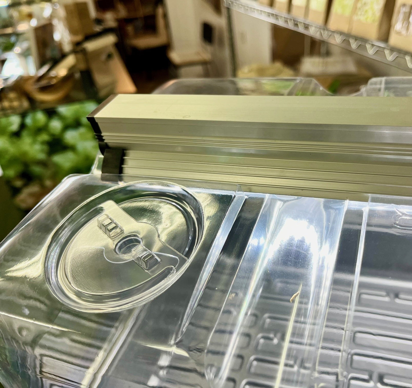 Dôme de germination avec luminaire horticole Sunblaster déposé dans les rainures