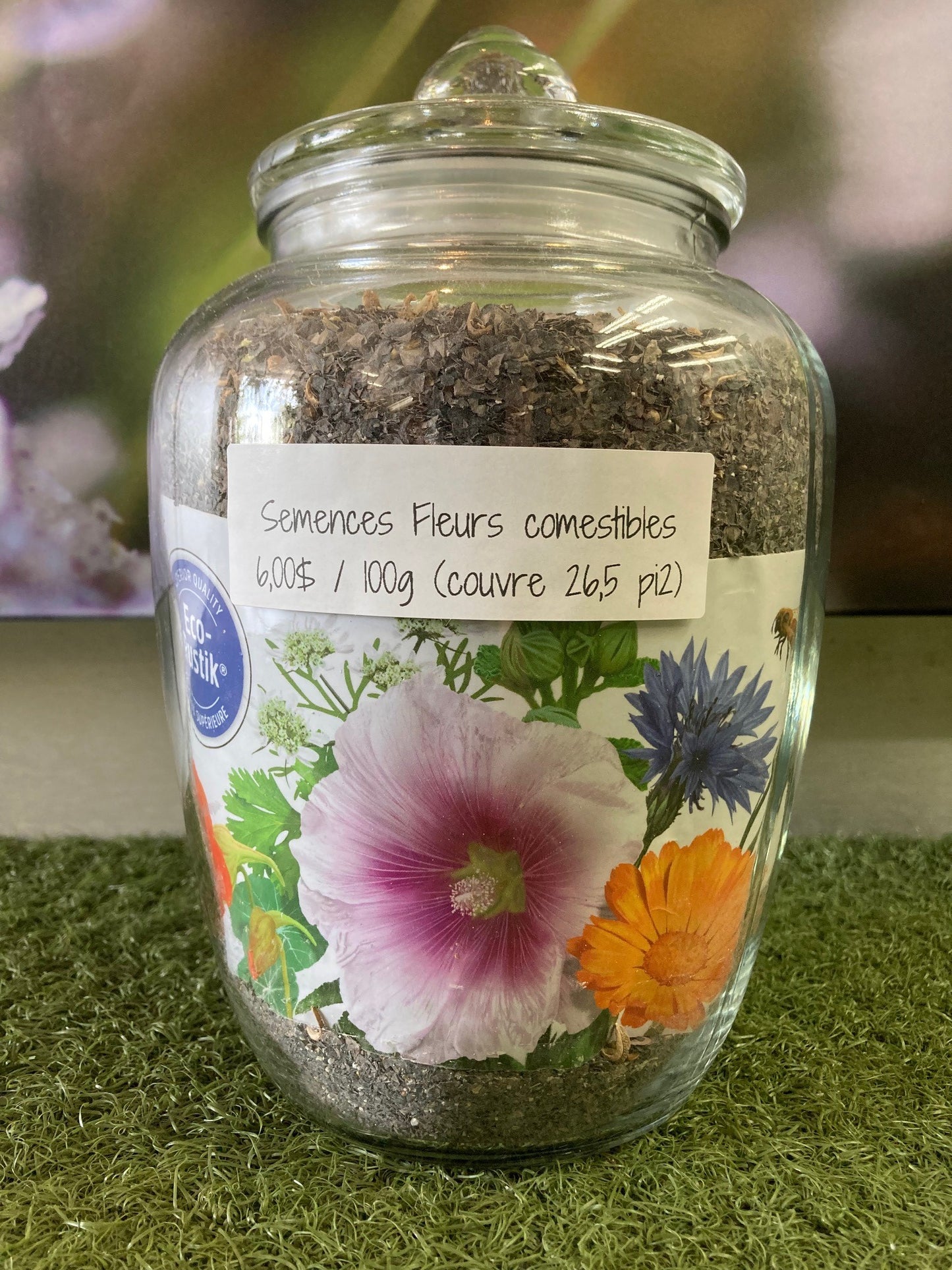 Semences Fleurs sauvages Comestibles