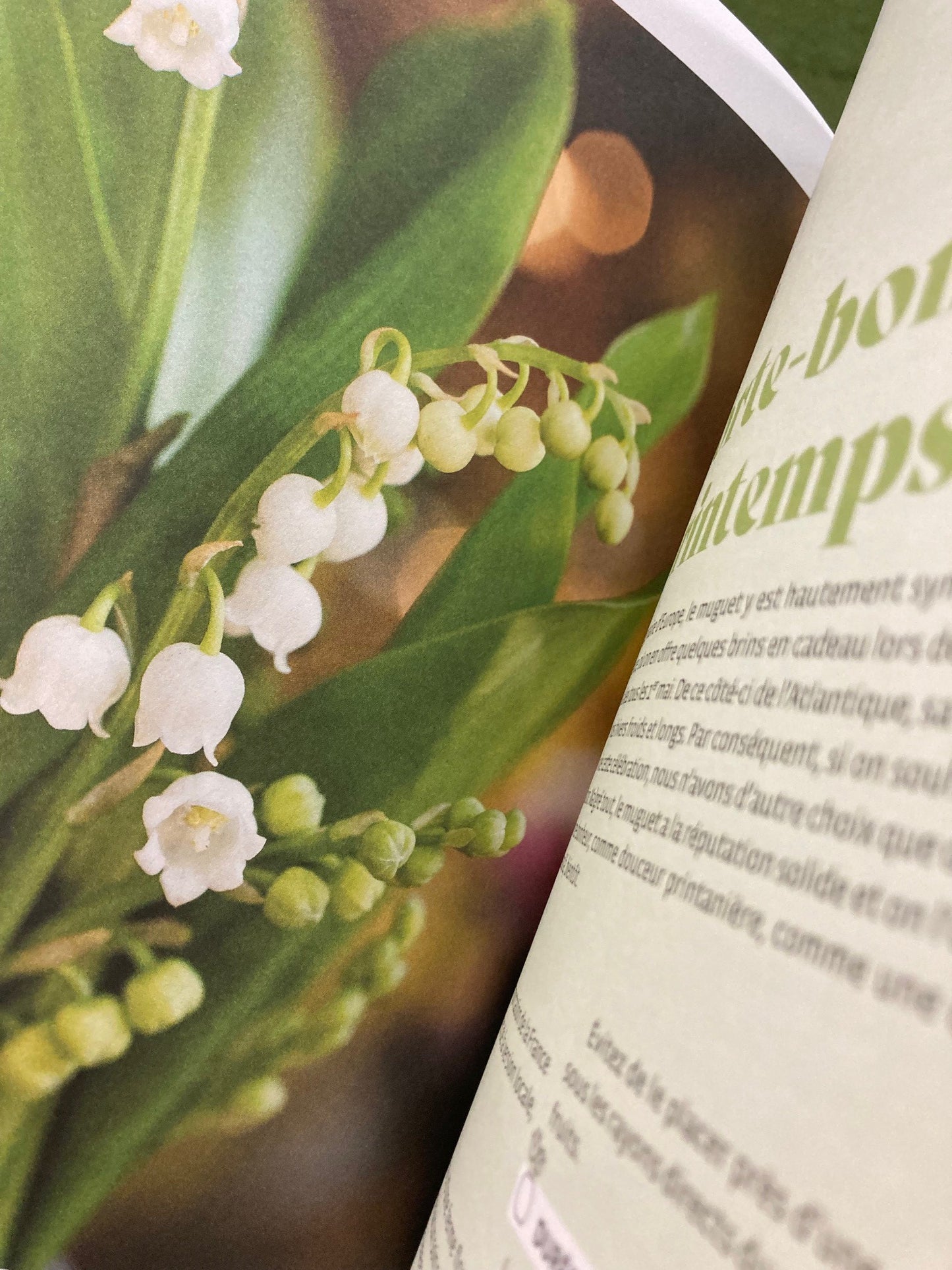 Quatrième de couverture du livre de soin floral de Myriam Binette chez Vert Métal