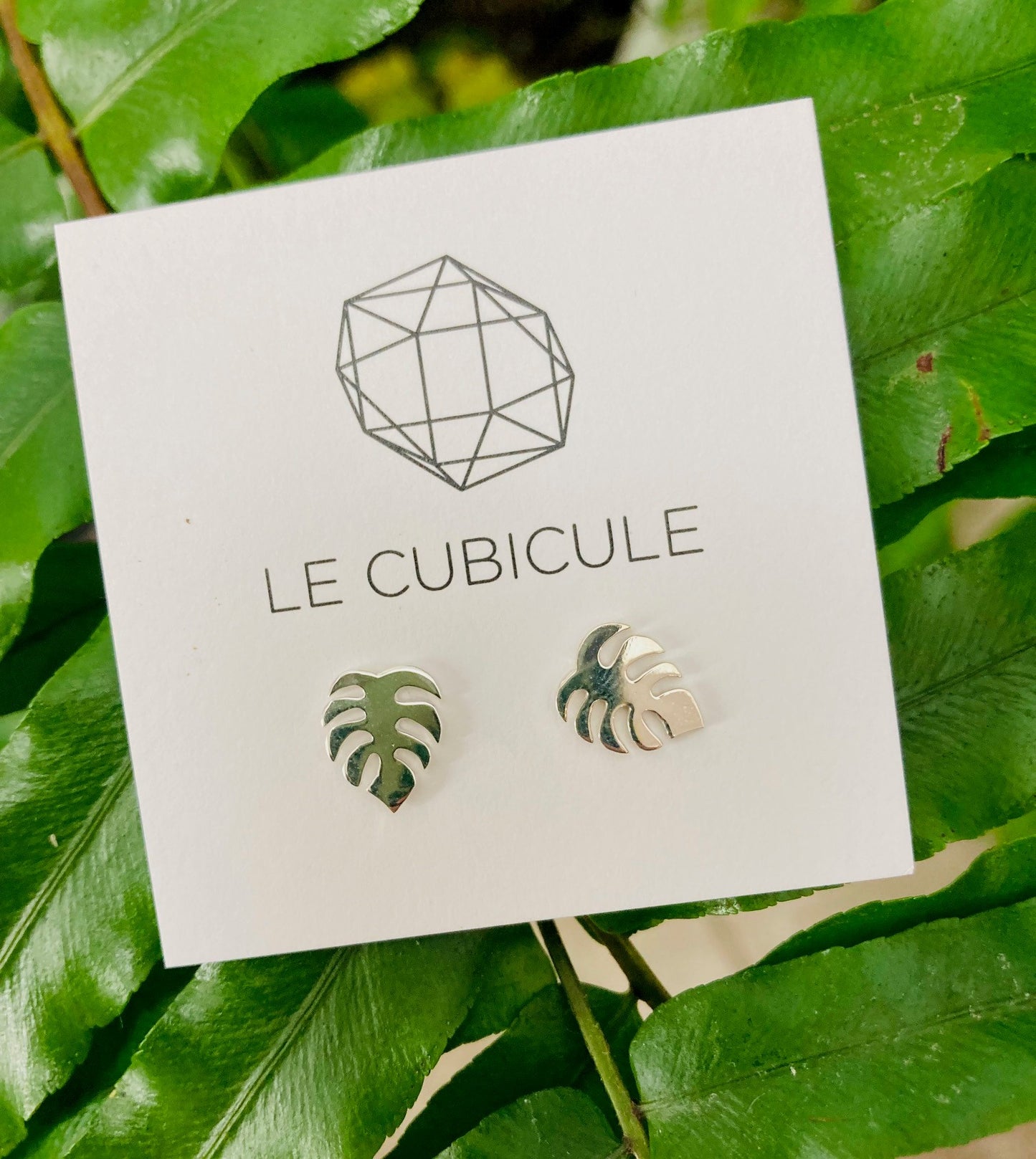 Boucles d'oreilles végétales