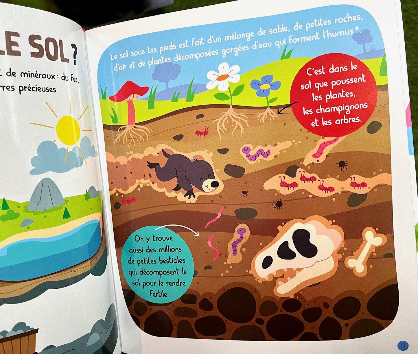 Pages intérieures plastifiées et illustrées du livre Mon encyclopetit de la Nature