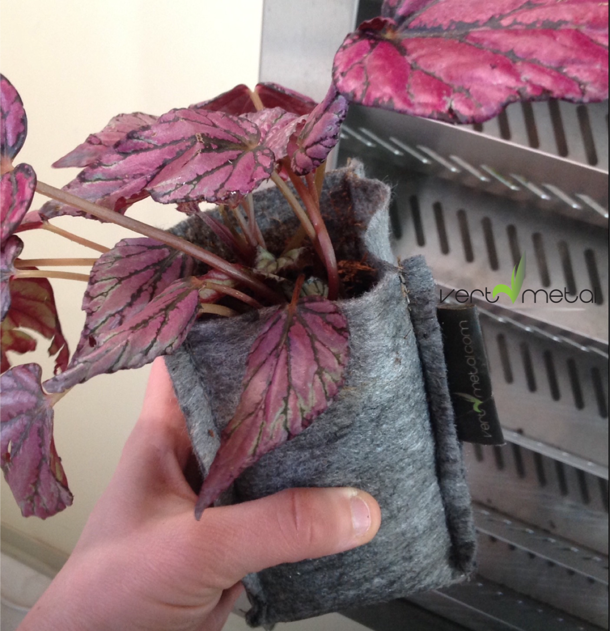 Mur végétal interieur exterieur en acier inoxydable