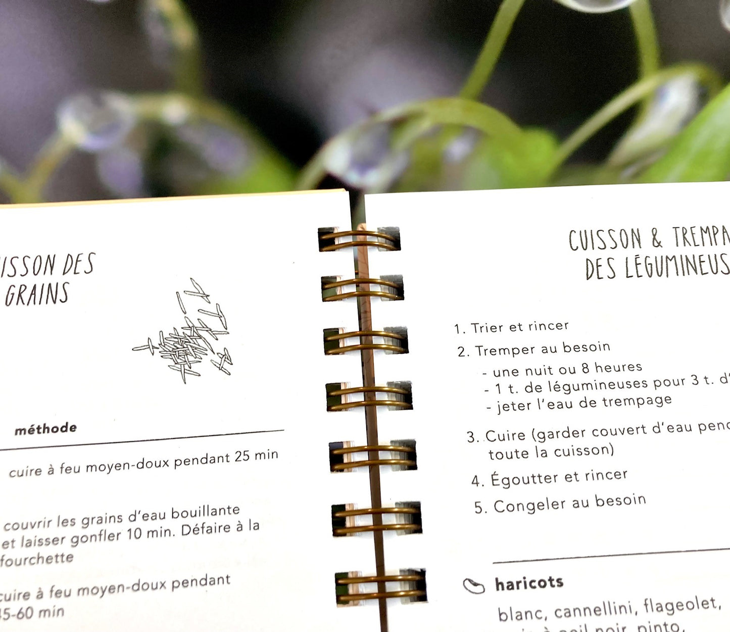 Carnet de notes pour les recettes