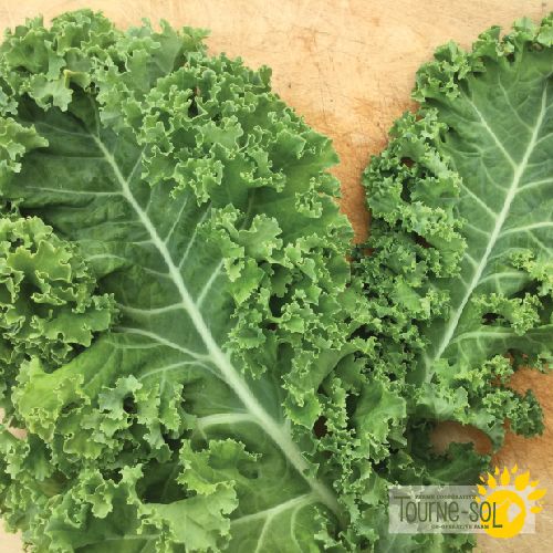 Kale Vates