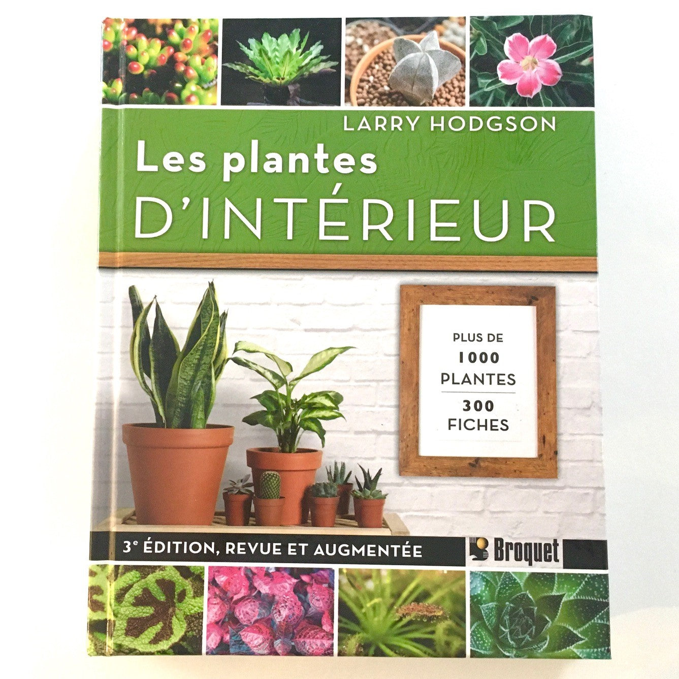 Les plantes d’intérieur