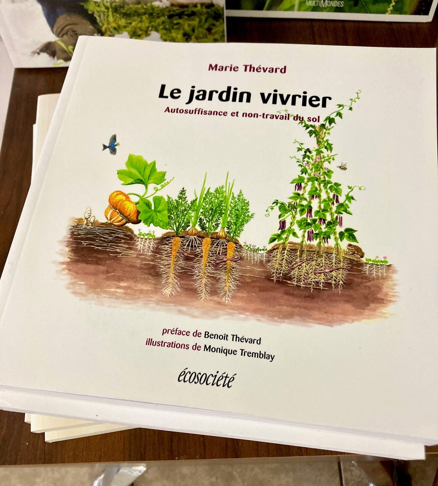 Le jardin vivrier