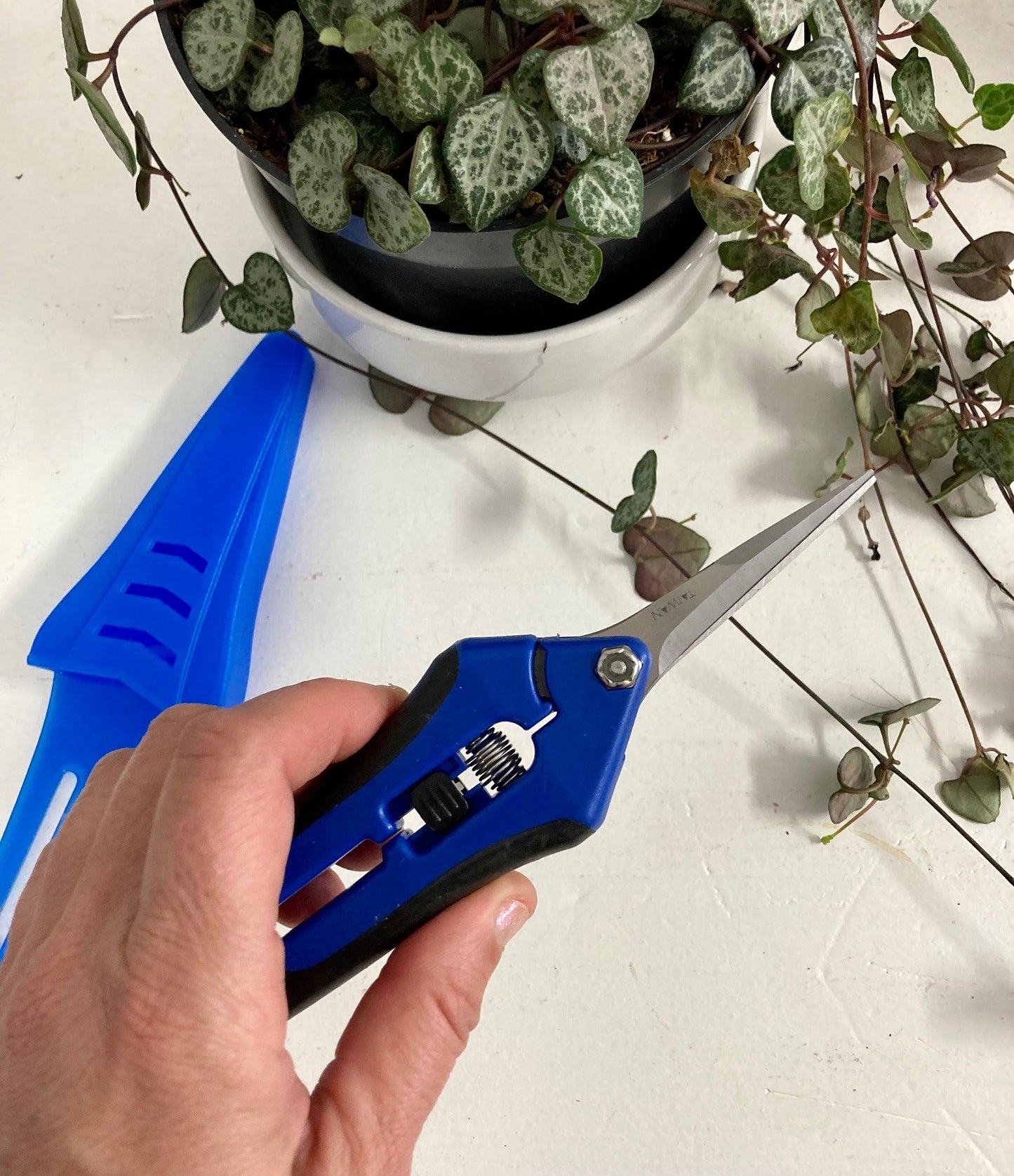 Sécateur de précision