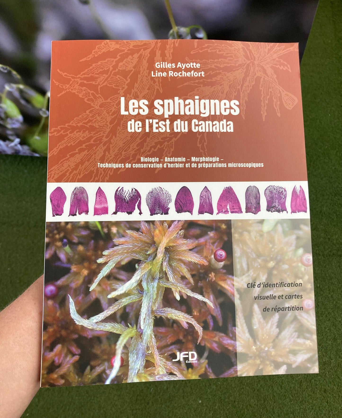 Les sphaignes de l’Est du Canada