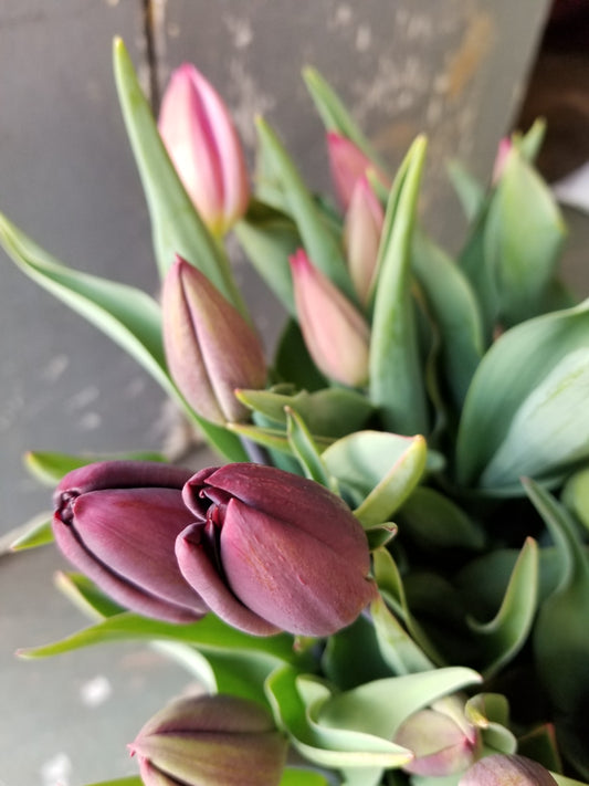 Bouquet de Fête des mères