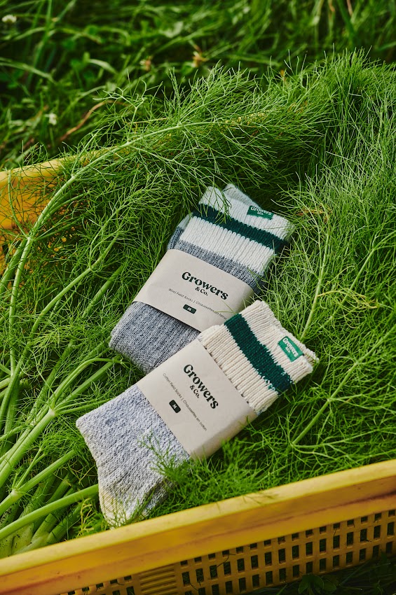 Paire de bas Growers & Co. avec emballage sur un lit de feuillage de fenouil