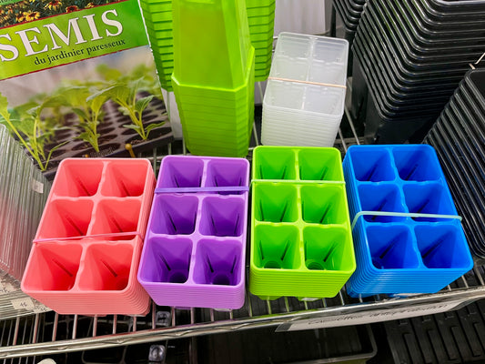 Assortiment de caissettes a semis de 6 cellules de differentes couleurs (rose, mauve, vert, bleu) exposees sur une etagere