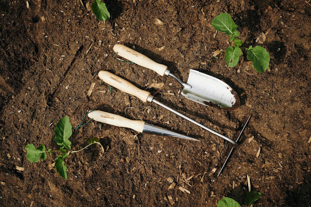 Ensemble d'outils de jardinage Growers & Co., incluant la truelle, posés sur le sol d'un potager