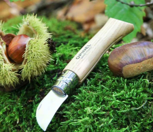 Couteau Opinel No 07 avec manche en bois pose sur de la mousse verte a cote de chataignes