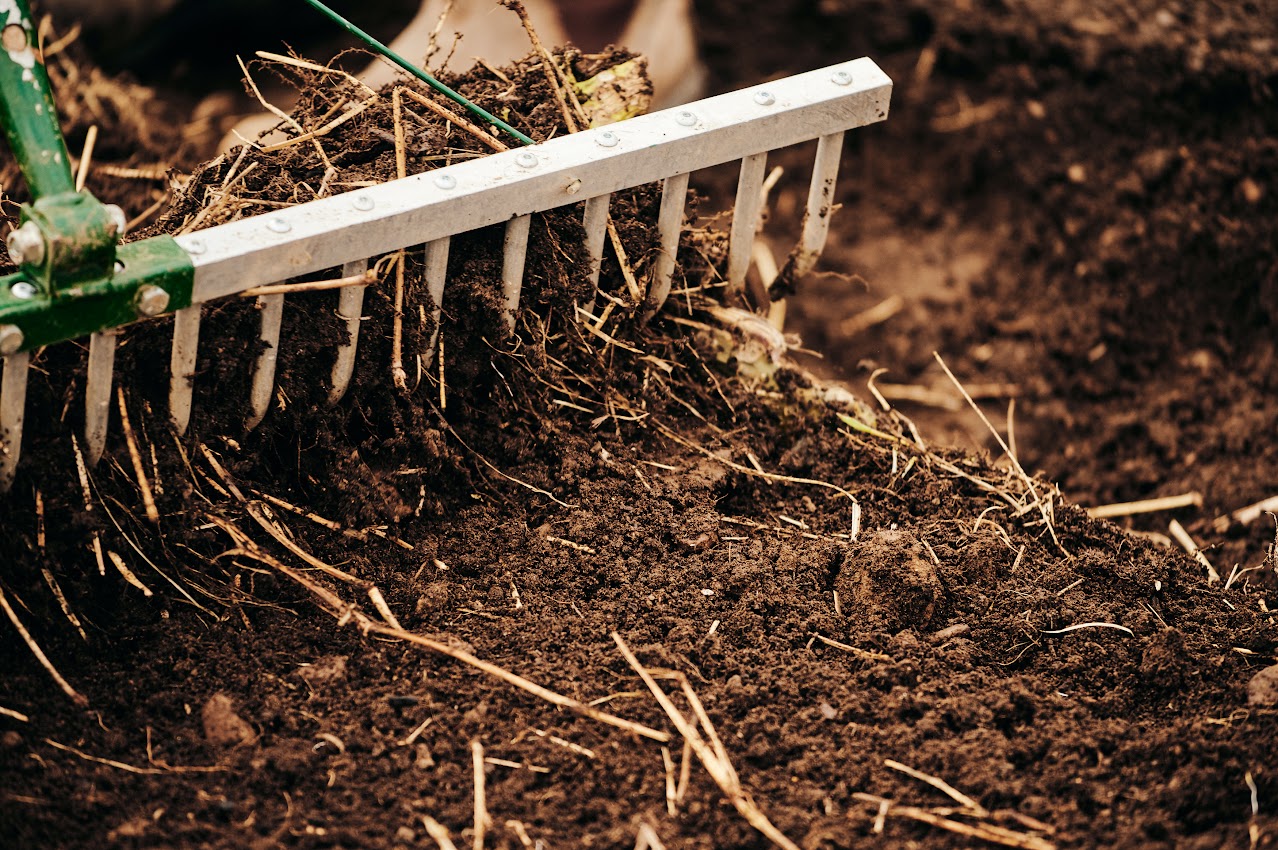Gros plan sur les dents du râteau-maraîcher travaillant la terre