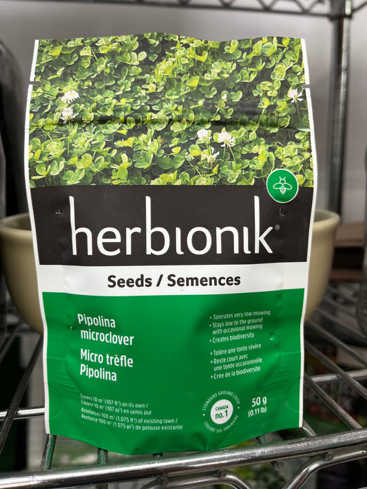 Semences de micro trèfle Herbionik