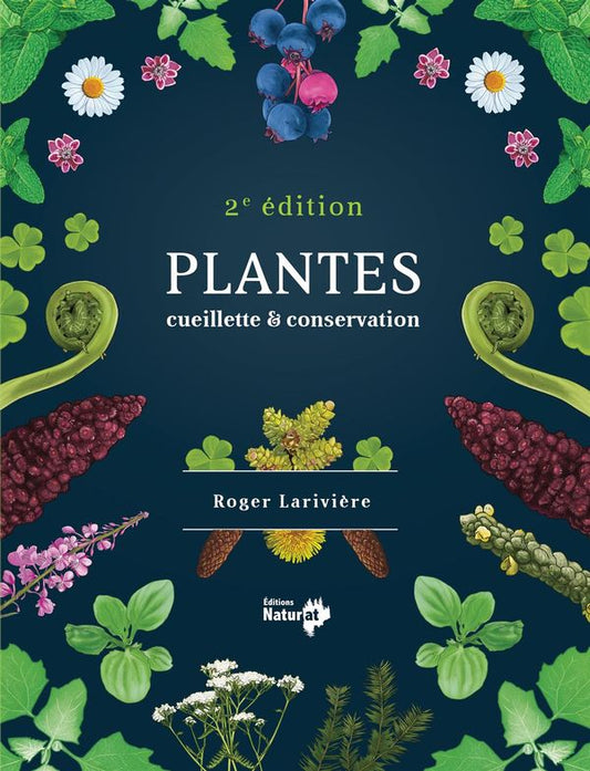Plantes Cueillette et conservation