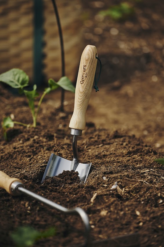 Truelle de jardin plantée dans le sol à côté d'un plant