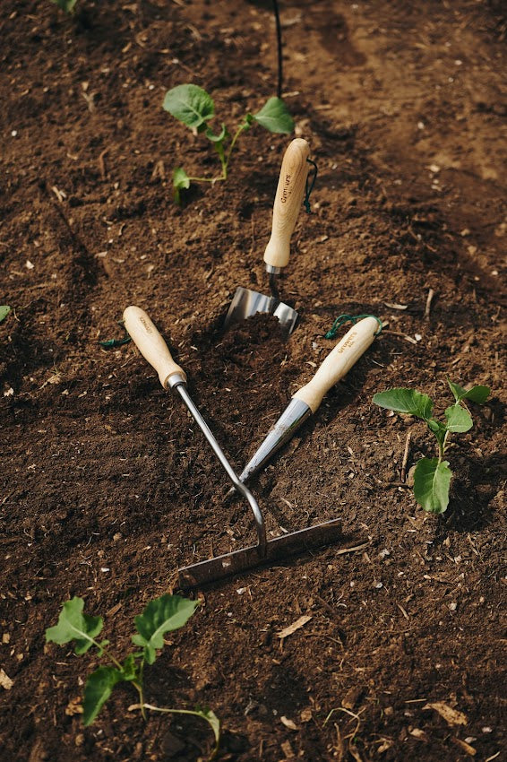 Deux truelles de jardin Growers & Co. placées dans un potager