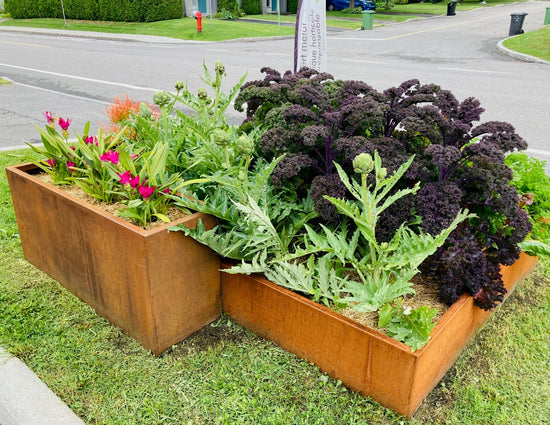 bac potager acier corten