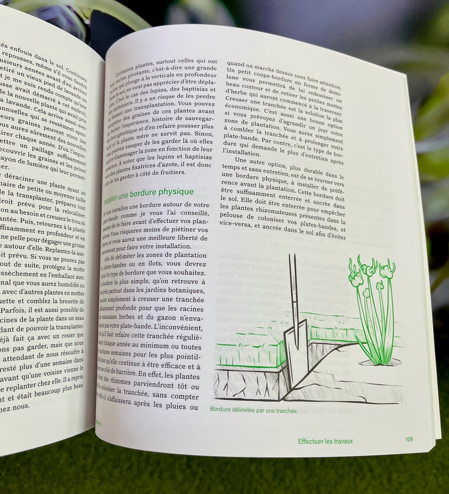 Exemple de pages intérieures illustrant les méthodes d'aménagement comestible
