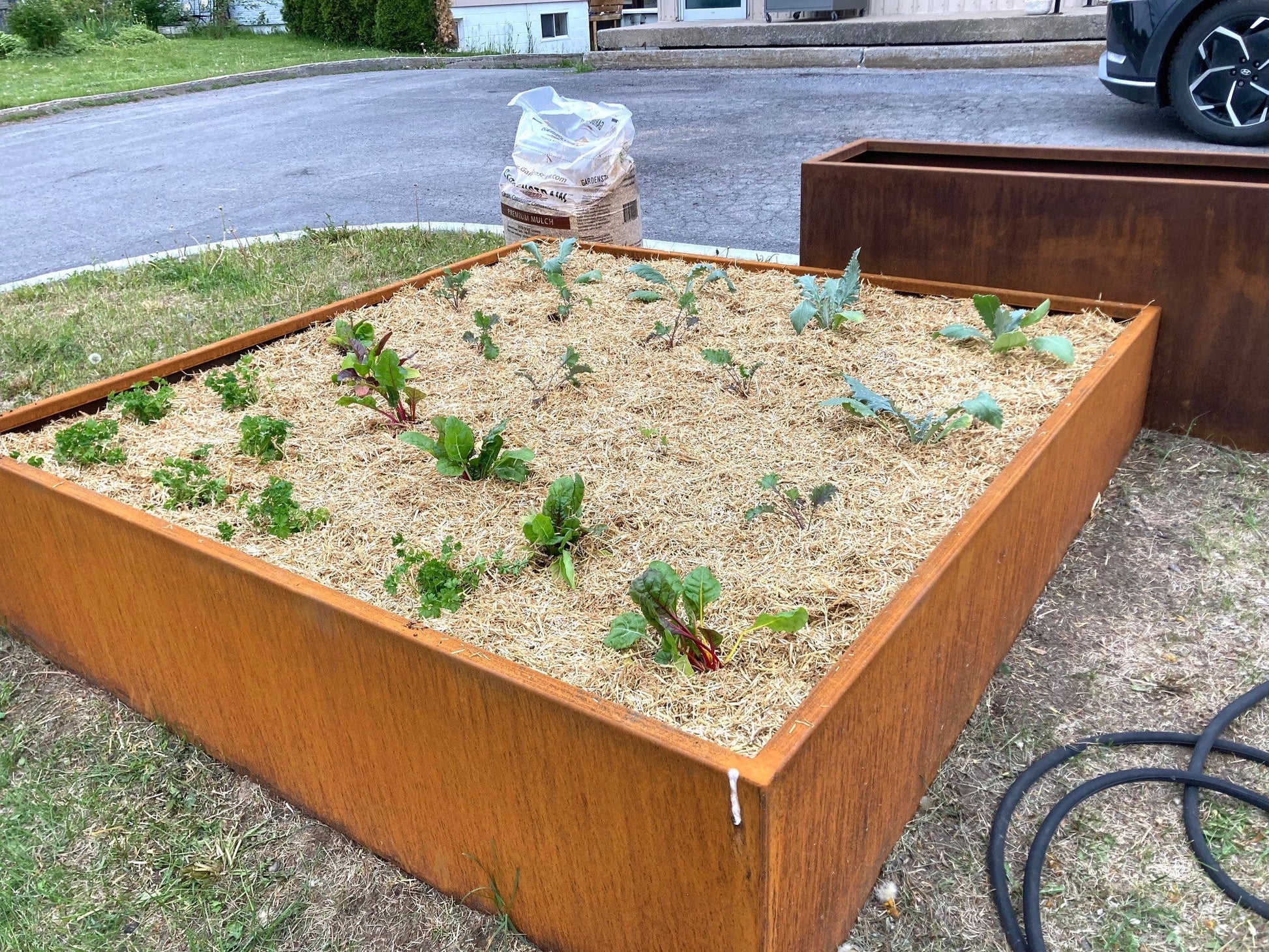 Démonstration de l'application de la paille dans un potager surélevé