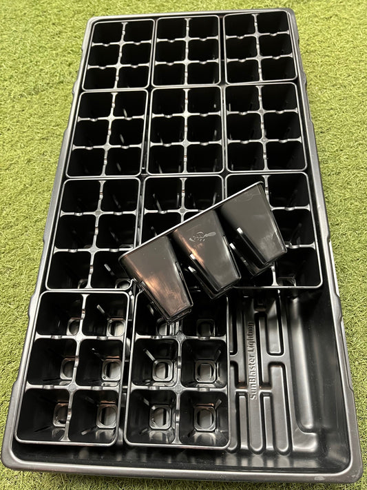 Caissette insert de semis 6 cellules Bootstrap installée dans un plateau standard