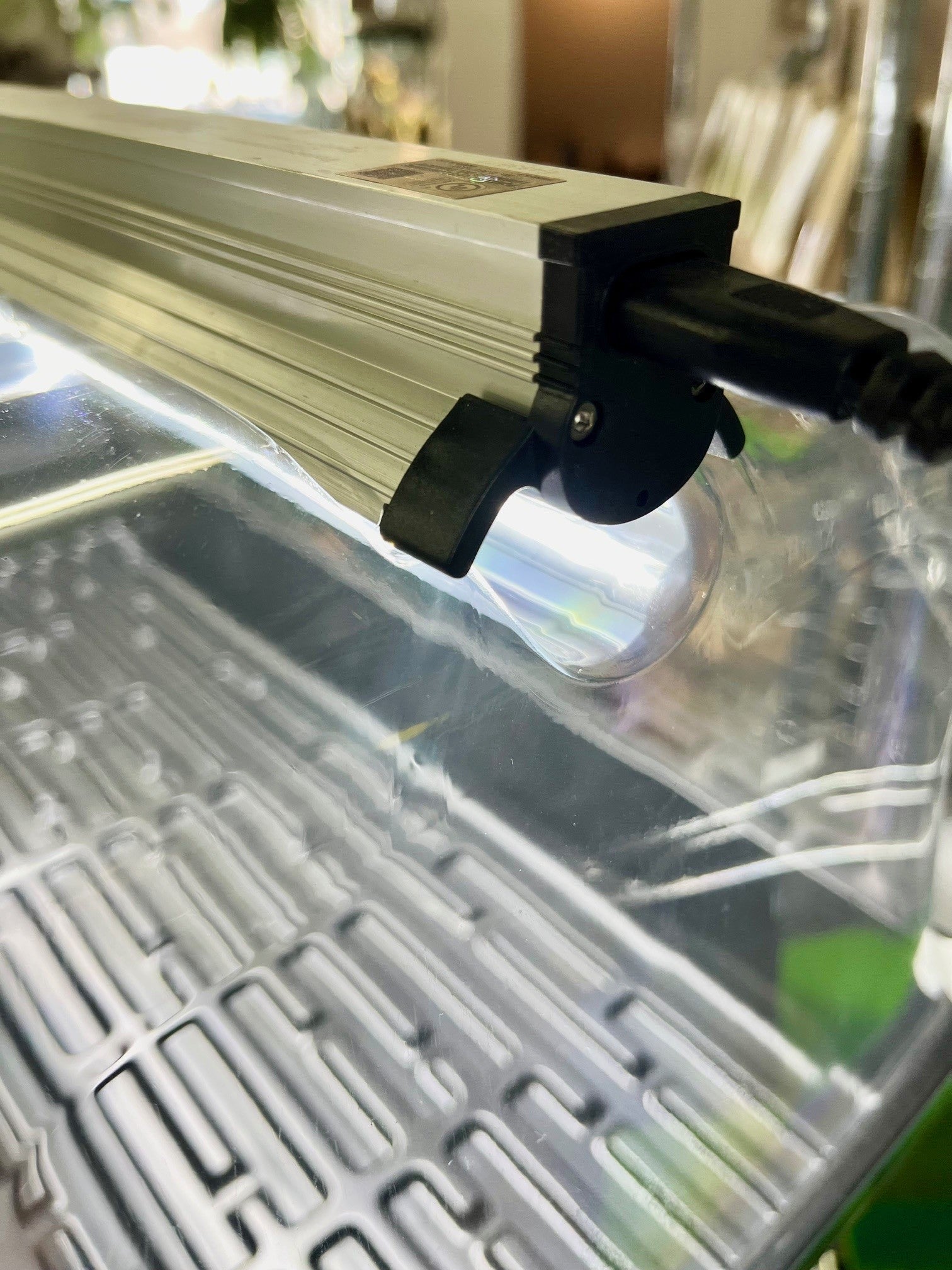 Dôme de germination de 7 po installé sur un plateau de semis standard