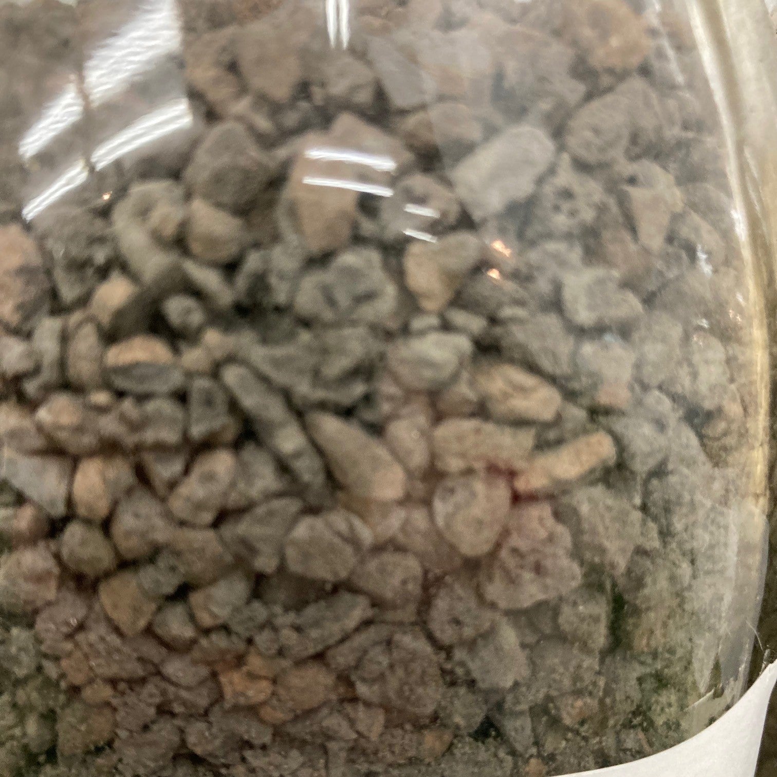 Substrat de haydite en argile expansée de calibre 3 à 6 mm pour l'aération des racines de bonsaï