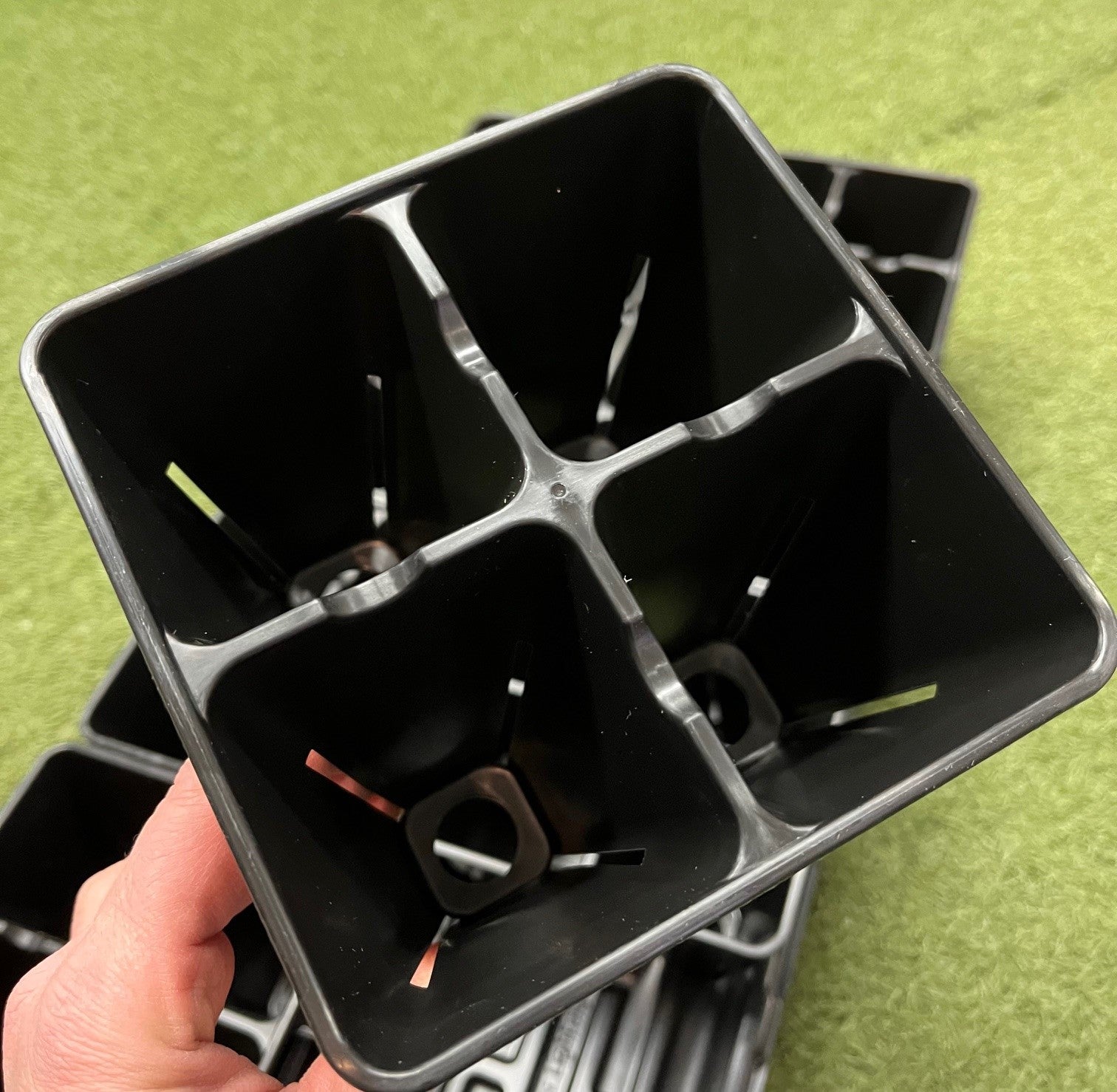 Vue rapprochée des cellules de l'insert de semis 4 cellules
