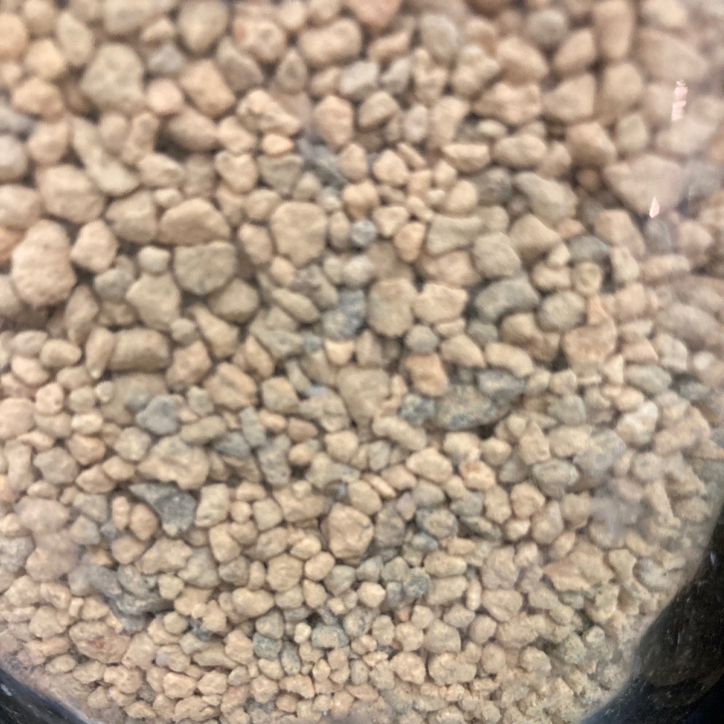 Substrat Kiryu de calibre 2 à 5 mm idéal pour le rempotage de pins et genévriers