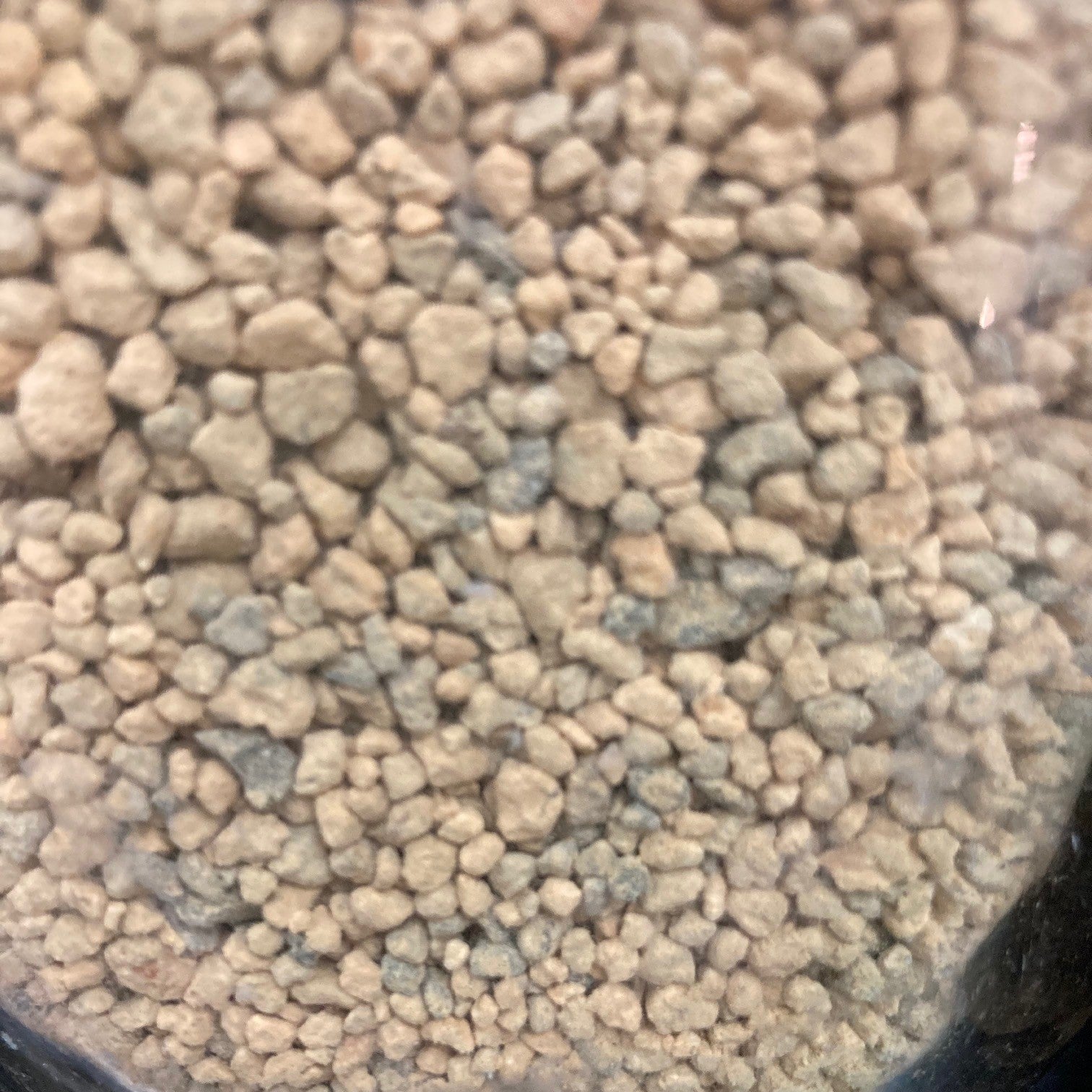 Substrat Kiryu de calibre 2 à 5 mm idéal pour le rempotage de pins et genévriers