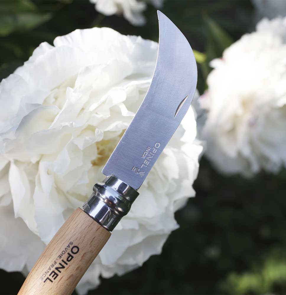 Lame courbe de 8 cm en acier inoxydable de la serpette-greffoir Opinel