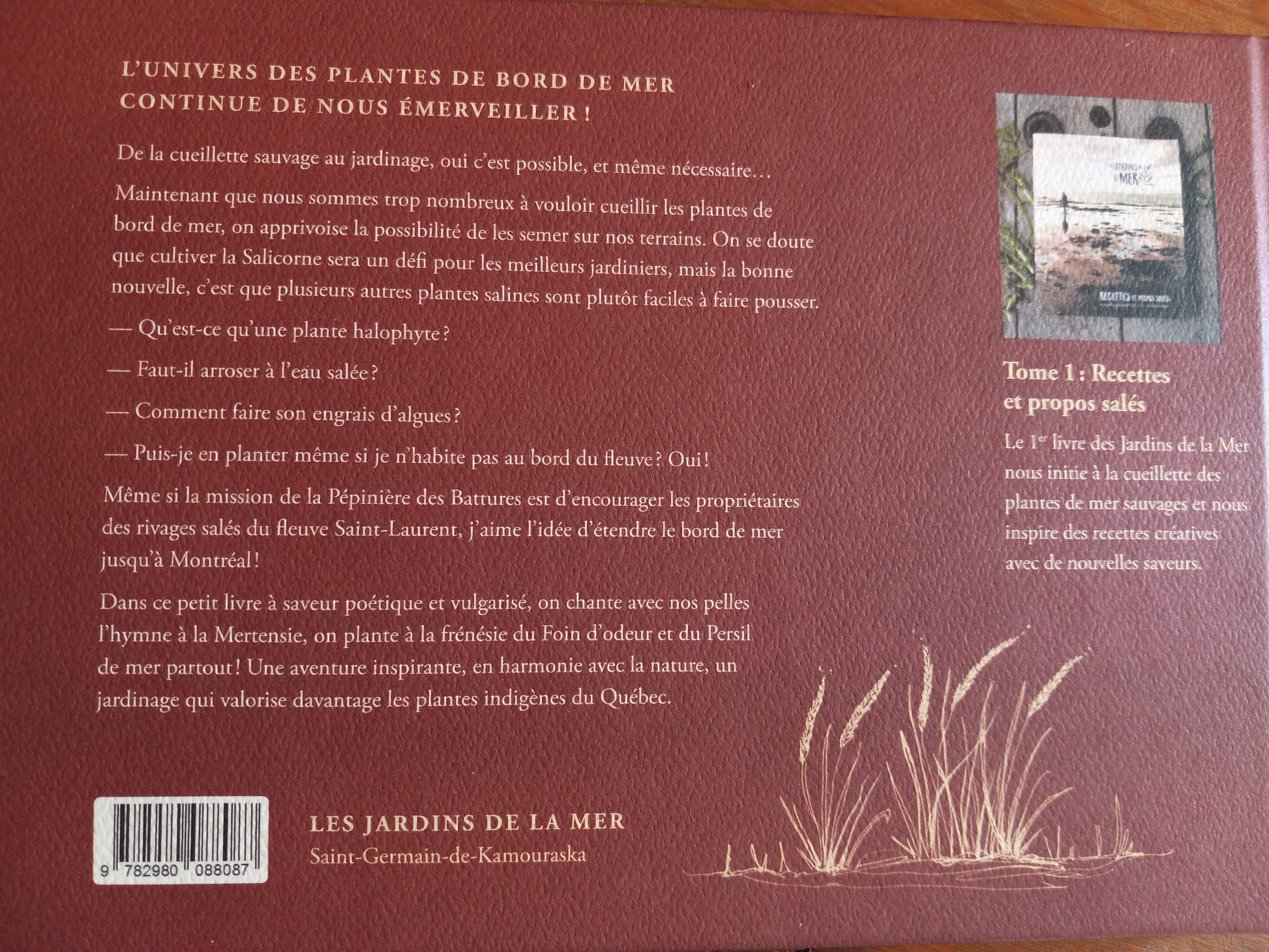 Vue arrière du livre présentant les informations de l'ouvrage