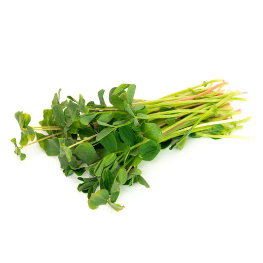 Mélange de semences Salade de micropousses