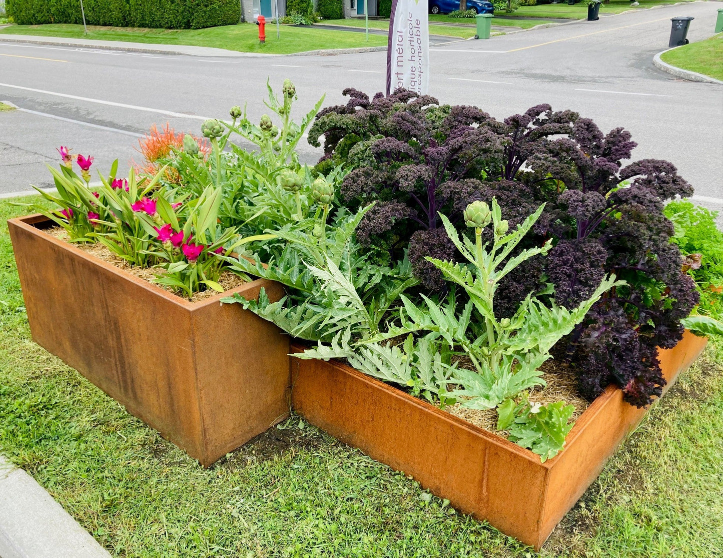 Paille de blé appliquée autour de fleurs et plants au potager