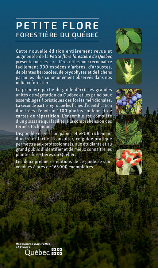 Petite flore forestière du Québec