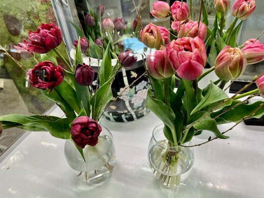 Bouquet de tulipes locales
