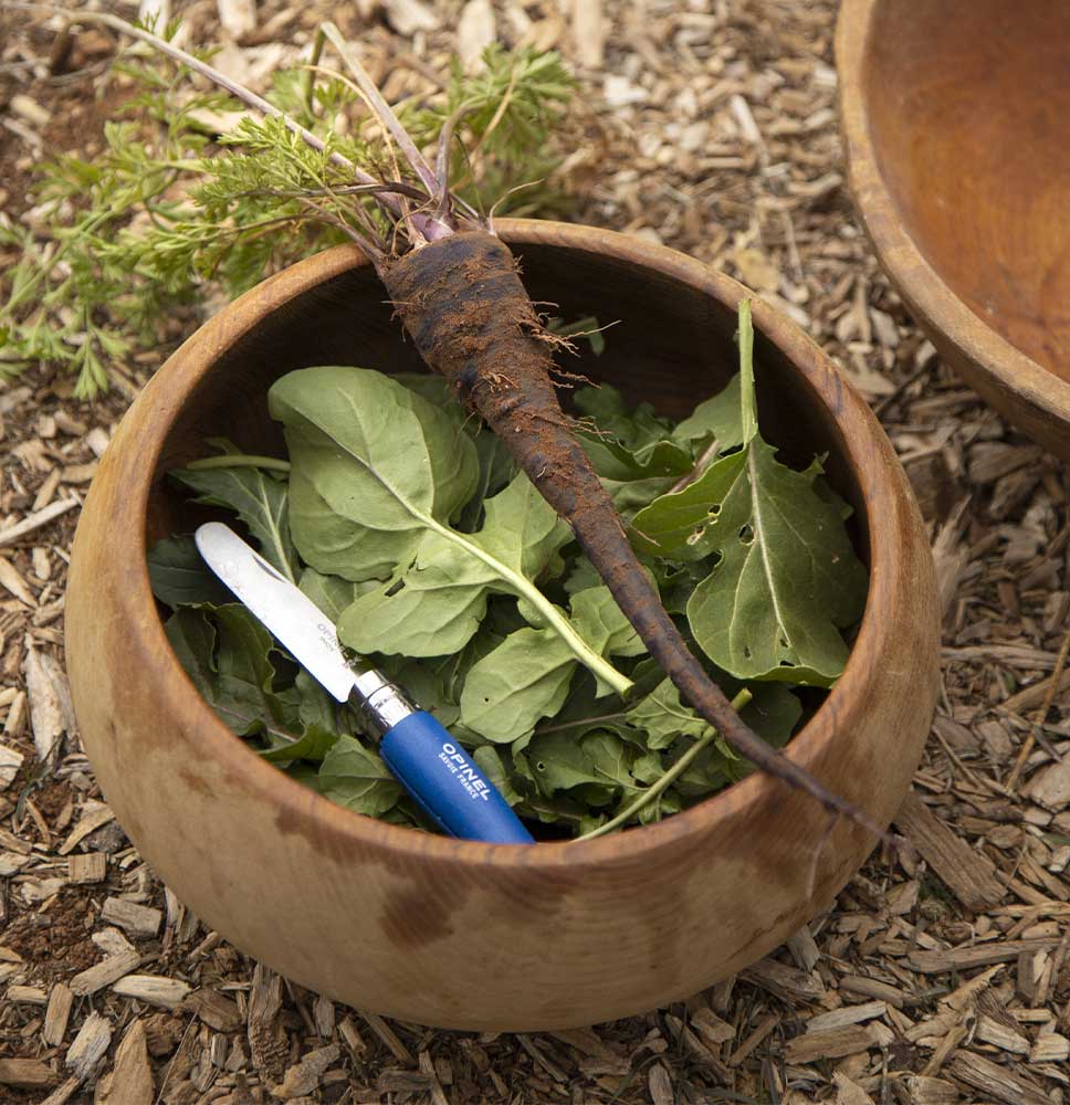 Couteau Mon premier opinel