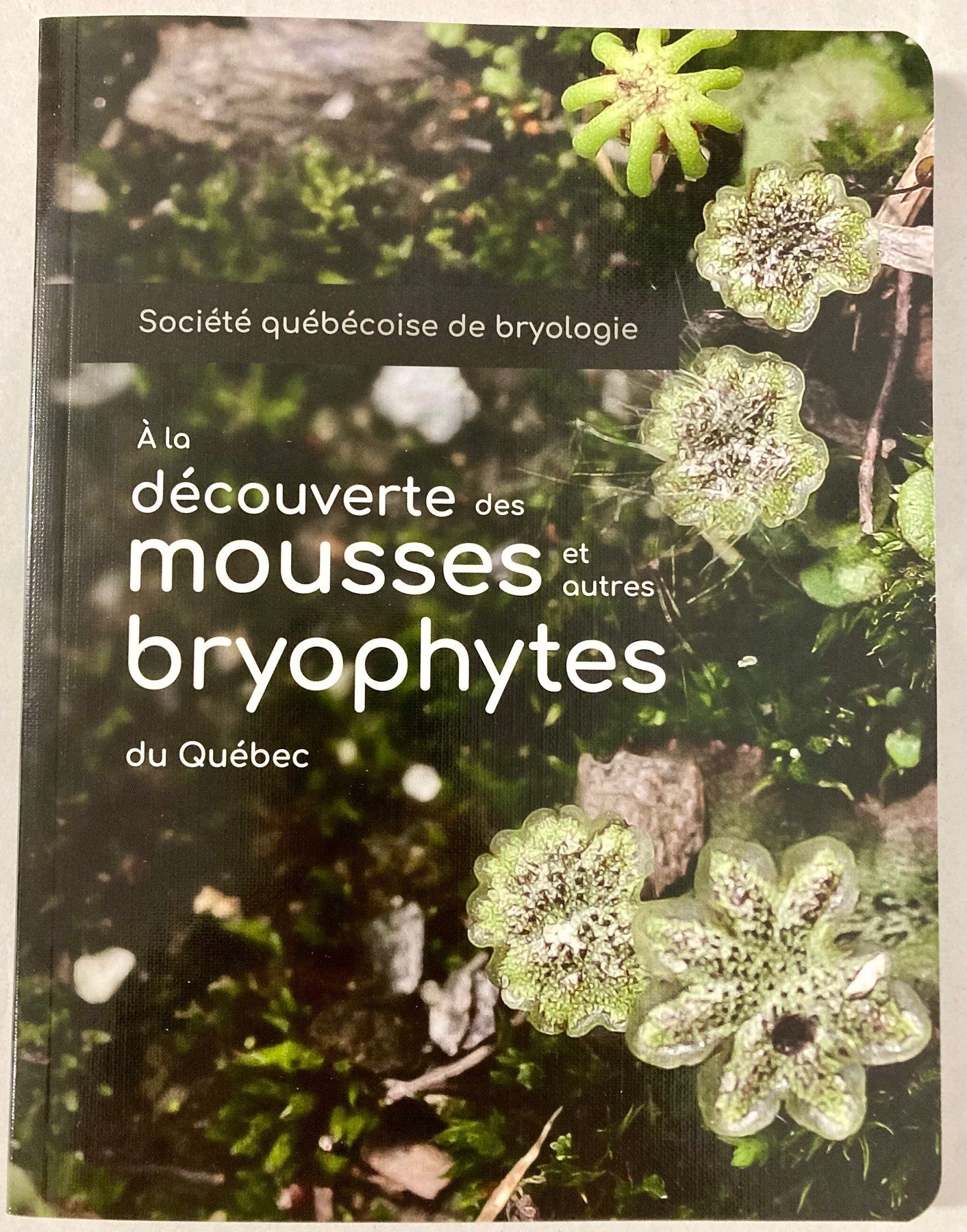 livre mousses bryophytes Québec