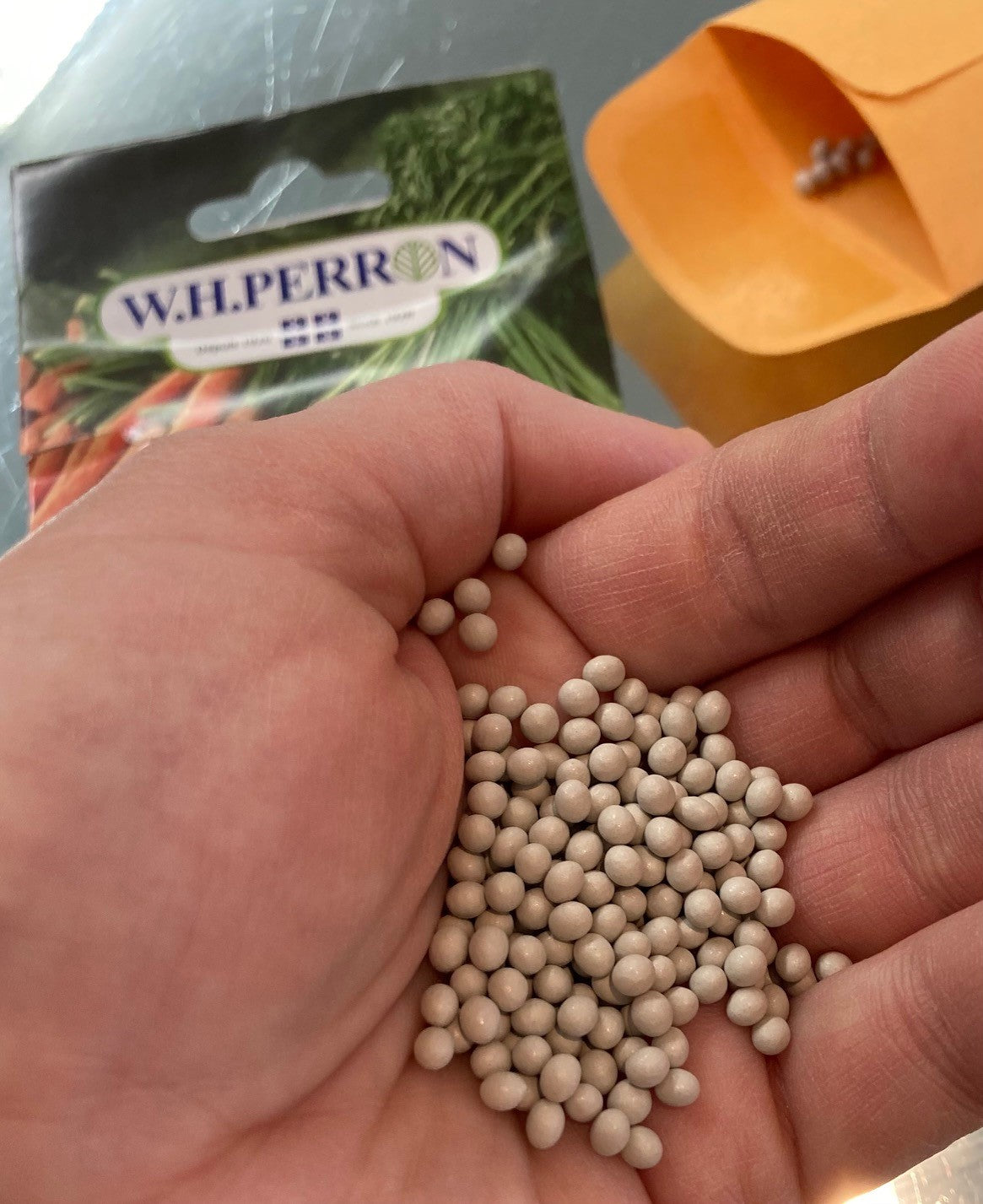 Mini romaine enrobée d'argile