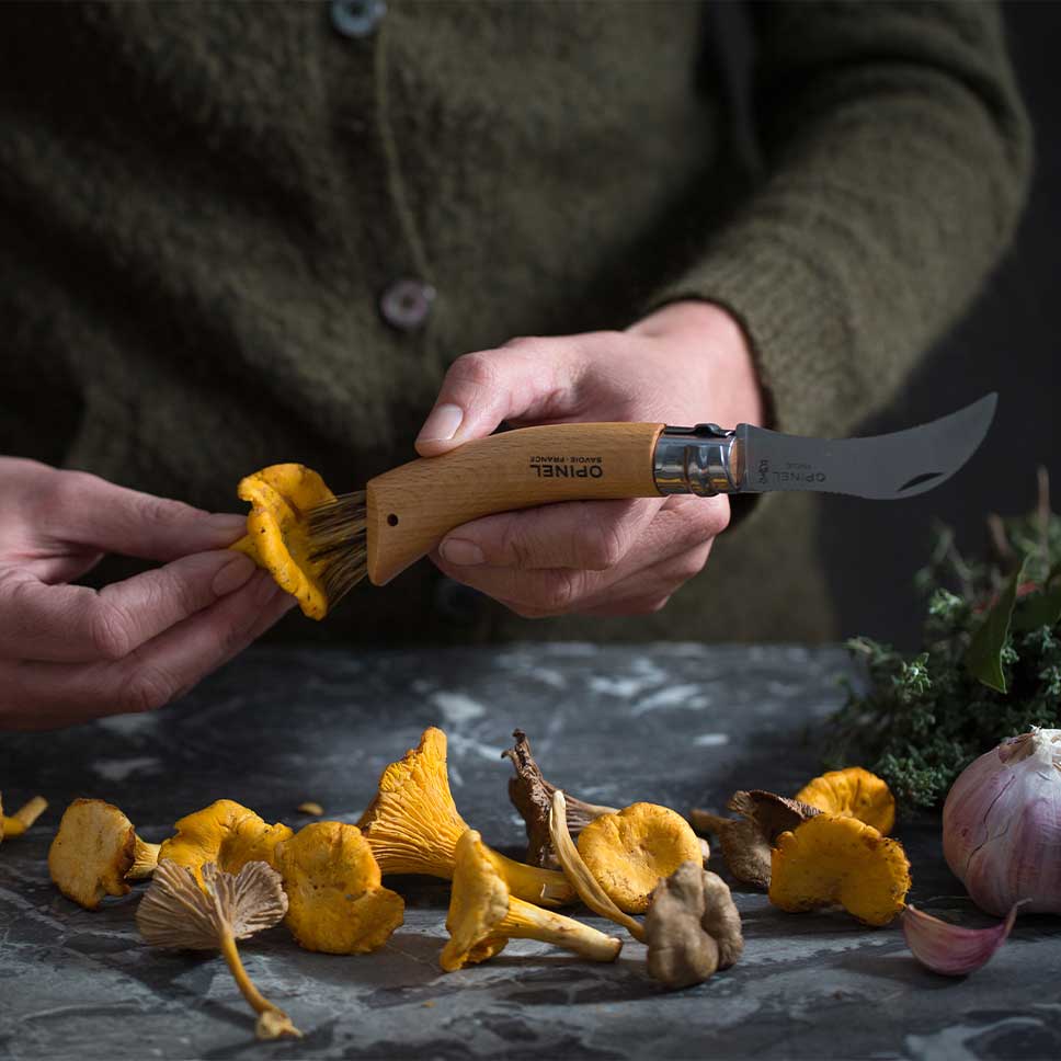 Couteau à champignons