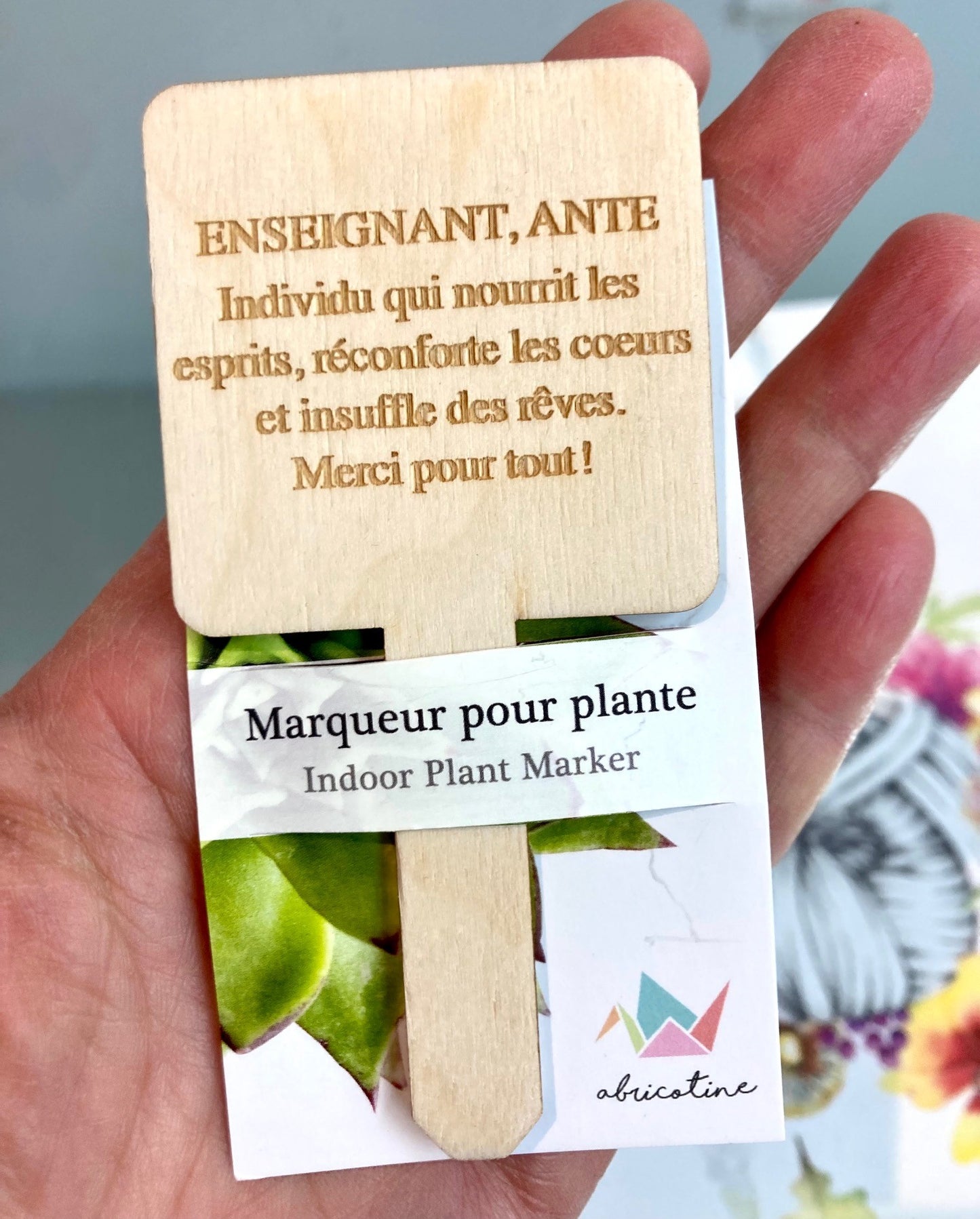Identificateur pour professeur éducateur