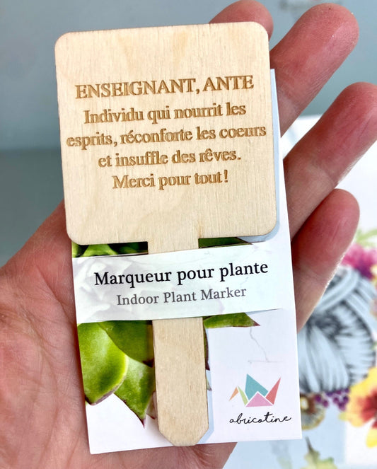 Identificateur pour professeur éducateur