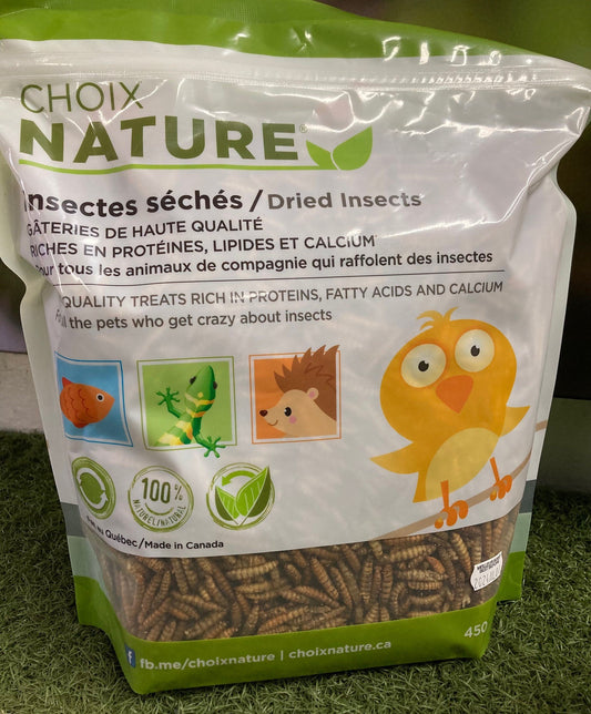 Insectes séchés