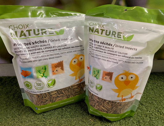 Insectes séchés